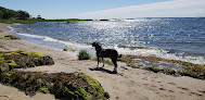 Negocio Larchmont Dog Beach