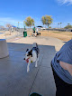 Negocio Large Dog Park