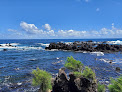 Negocio Laupāhoehoe Point