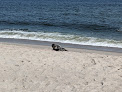 Negocio Lavallette Beach