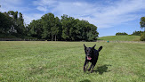 Negocio Leawoof Dog Park
