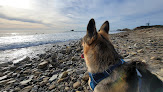 Negocio Leo Carrillo State Beach