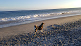 Negocio Leo Carrillo State Park