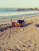 Negocio Little Corona Del Mar Beach