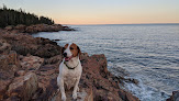 Negocio Little Hunters Beach