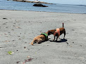 Negocio Lloyd's Beach