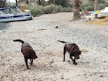Negocio London Bridge Beach
