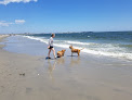Negocio Longport Dog Beach