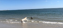 Negocio Longport Dog Beach
