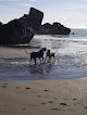 Negocio Luffenholtz Beach