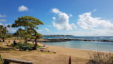 Negocio Lydgate Beach Park