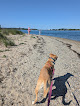 Negocio Mackworth Island State Park