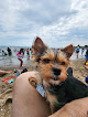 Negocio Manhattan Beach Dog Run