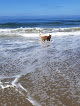 Negocio Manresa Main State Beach