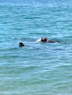 Negocio Marconi Beach