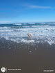 Negocio Middle Beach