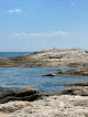 Negocio Mile Beach