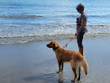 Negocio Mingo Beach