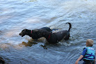 Negocio Molalla River State Park