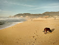 Negocio Montara State Beach