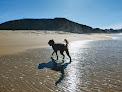 Negocio Montara State Beach
