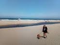 Negocio Monterey State Beach