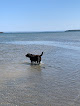 Negocio Mowry Beach Preserve