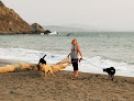 Negocio Muir Beach