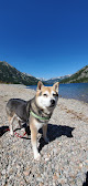 Negocio Mystic Lake Trailhead
