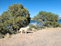Negocio Navajo Lake State Park
