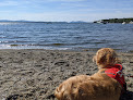 Negocio Newbury Neck Beach