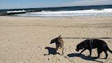 Negocio North Beach Boardwalk