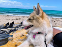 Negocio North Beach Oceanside Park
