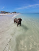 Negocio North Clearwater Beach