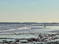 Negocio North Hampton State Beach