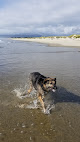 Negocio North Jetty Beach
