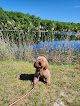 Negocio North Lake Beach And Park