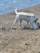 Negocio North Marcum Beach
