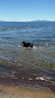 Negocio North Tahoe Beach