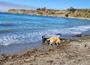 Negocio Noyo Beach Off-Leash Dog Area