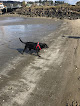 Negocio Nye Beach