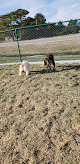 Negocio Oasis Travel Center Dog Park