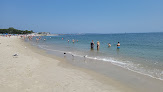 Negocio Ocean Beach