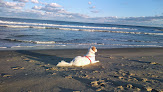 Negocio Ocean City Beach