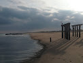 Negocio Ocean Grove Beaches