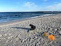 Negocio Ocean Swimming Beach