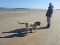 Negocio Old Orchard Beach