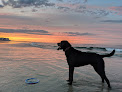 Negocio Old Rexhame Beach