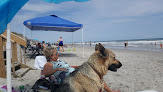 Negocio Onslow County Beach Access #2