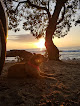 Negocio O'oma Beach